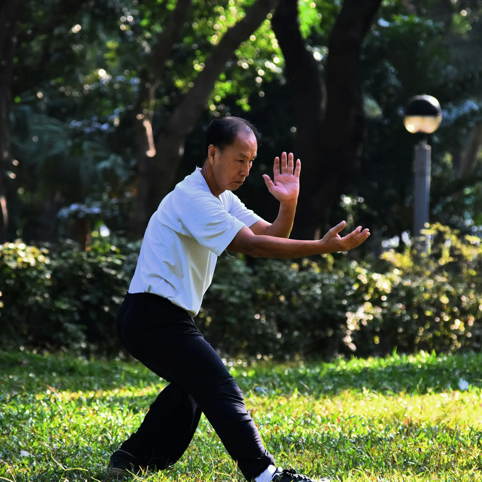 Man beoefent Tai Chi in een park